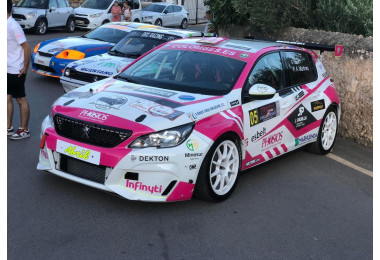 Minesur sponsored the IV Rally Crono de Níjar held on 29th  and 30th June.